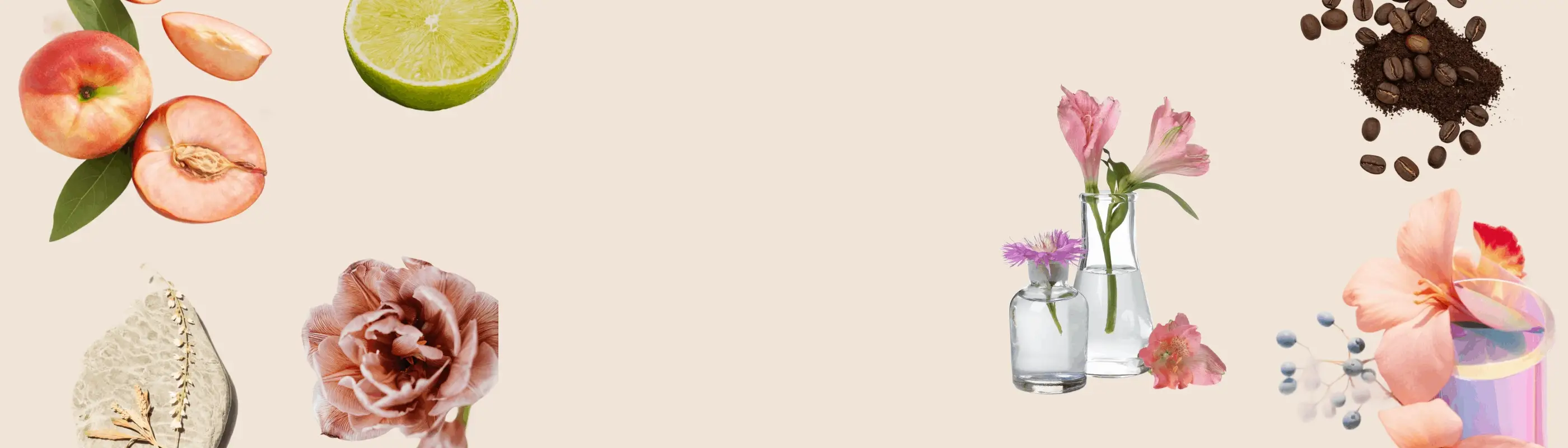 Elevate Your Creative DIY Journey